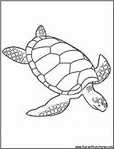 Coloring Sea Turtle Pages sketch template