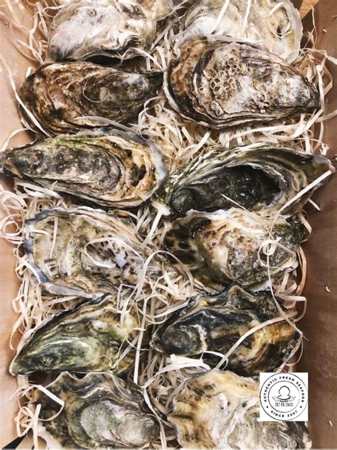 thuisbezorgd oesters   oesters bbq schaal en schelpdieren