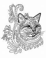 Antistress Katzen Mandala Ragdoll Katze Zentangle Buntes Dekoratives sketch template