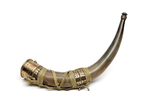 museum  artifacts  horn    aurochs bull  died