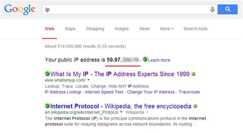 find   ip address  google search