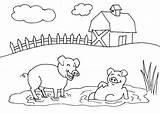 Coloring Farm Mud Pig Pages Pigs Bath Animal Kids Clipart Choose Board Sheets sketch template