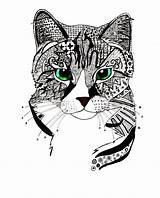 Zentangle Cat Portrait Coloring Pages Redbubble Choose Board Doodle Face Adult Zen sketch template