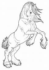 Horse Coloring Pages Printable Cool Drawings Print Colouring Sheets Choose Board Stallion Kids sketch template