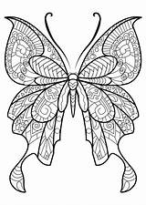 Realistic Butterfly Coloring Pages Drawing Getdrawings sketch template
