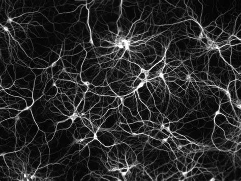 artificial neurons      replace human brain cells