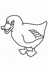 Ducks Farm Duckling Carle sketch template