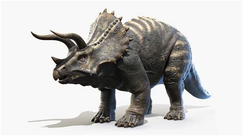 triceratops horns turbosquid