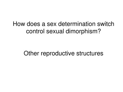 Ppt Sex Determination Powerpoint Presentation Free Download Id 2279815