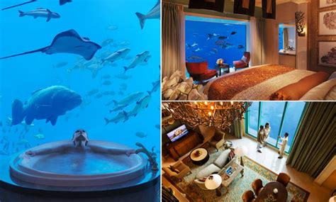 here s what the atlantis dubai s luxury underwater suites look like