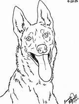 Dog Dutch Shepherd Malinois Belgian Easy Canis Simensis Drawing Coloring German Rysunki Lineart Deviantart Drawings Zwierzęta Ołówkiem Cool Tattoo sketch template
