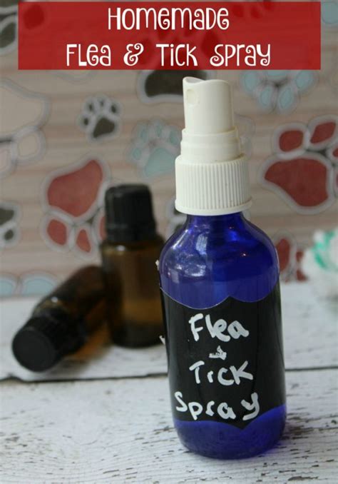 flea  tick spray  pets  magical mess