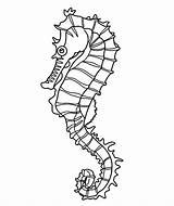 Seahorse Coloring Seaweed Pages Drawing Outline Template Line Easy Realistic Templates Colouring Sea Horse Crafts Shape Print Drawings Printable Kelp sketch template