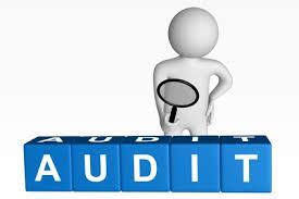 audit pengertian  jenis audit
