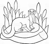 Otter Getdrawings Otters Coloringbay sketch template