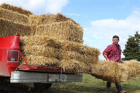 hay bail truck stock  pictures royalty  images istock