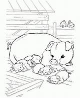Coloring Pigs Animais Fazenda Cochon Piglets Pooh Scrofa Everfreecoloring Hens Roosters Mice Galinha Pintinhos Cerditos Doghousemusic Coloringhome Porcos sketch template