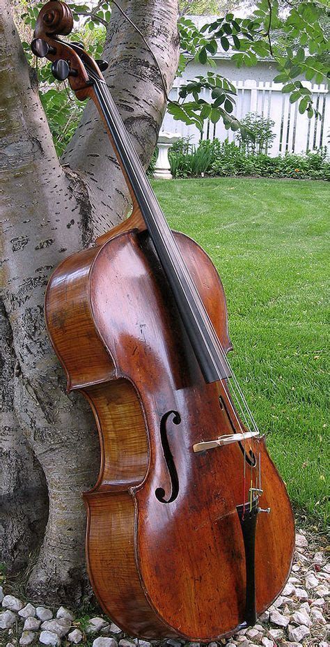 cello  ideas cello  cello