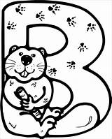 Beaver Coloring Letter Pages Colouring Printable Clipart Dam Biber Beavers Drawing Color Animal Ausmalen Angry Outline Getdrawings Zum Kleurplaten Bever sketch template