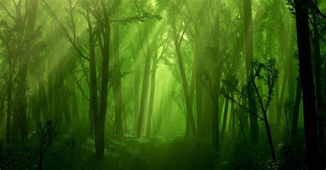 animated forest desktop wallpaper