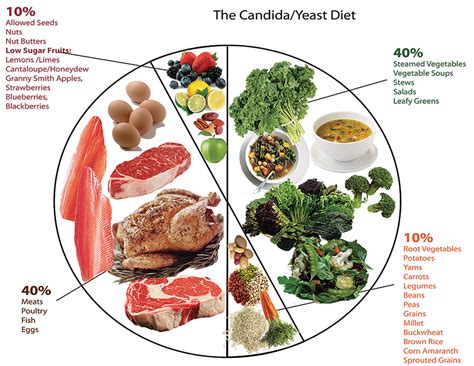 candida diet info health truth