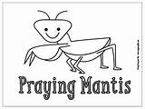 Coloring Mantis Praying Bugs Pages Kids Little sketch template