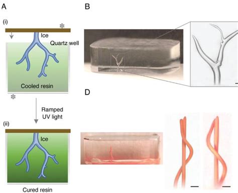 printing process  produce  biomedical  electronic devices  complex internal