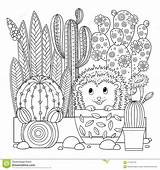 Coloring Cactus Cute Vector Contour Linear Scribble Background Book Fo Adults Meditation Antistress sketch template