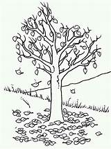 Coloring Hill Fall Leaf Pages Tree Colorir Para Designlooter Arvores Desenhos Adults 47kb Color Maple sketch template