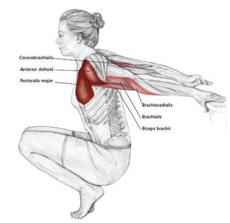 forward head posture symptoms shoulder stretching exercises yoga