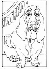 Basset Coloring Hound Pages Dog Edupics Getcolorings Colouring Large Print Printable Adult Color sketch template