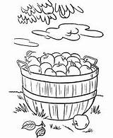 Coloring Pages Thanksgiving Apple Fall Sheets Harvest Orchard Apples Dinner Color Printable Activity Colouring Basket Rabbit Feast Food Foods Picking sketch template