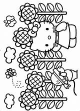 Kitty Hello Coloring Pages Sunflower Spring Printable Color Print Fall Hellokitty Sheets Fanpop Clipart Kids Book Library Japan Divyajanani sketch template