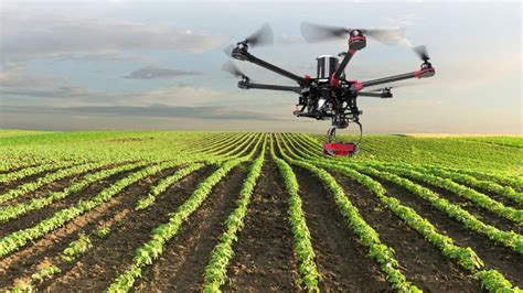 productores venezolanos incorporan drones  satelites  mejorar los cultivos caveperu