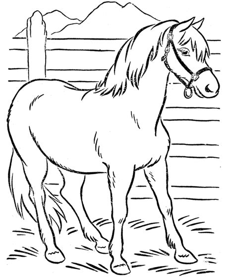 printable horse coloring page  kids coloring home