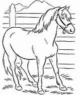 Coloring Horse Printable Kids Pages Print sketch template