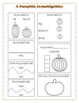 pumpkin investigation pumpkin investigation halloween kindergarten