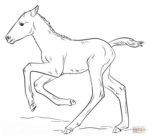 cute running foal coloring page  printable coloring pages