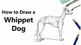 Whippet Draw sketch template