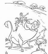 Simba Timon Pumbaa sketch template