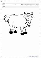 Vaca Colorir Boi Fazenda Desenhos sketch template