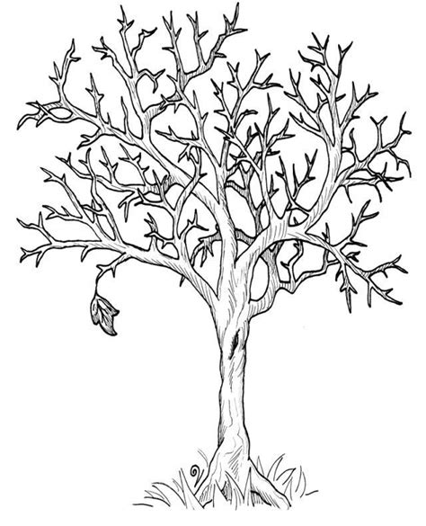 autumn fall tree  leaves coloring page high coloring
