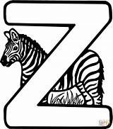 Zebra Letter Coloring Pages Clipart Para Printable Colorear Letra Color Print Drawing Letras Dibujo Alphabet Imprimir Plan Alfabeto Dibujos Fascinating sketch template