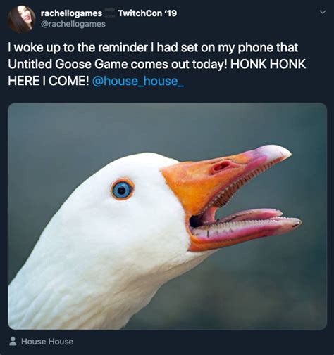 untitled goose game memes    honking good time funny