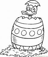 Duck Easter Coloring Pages Egg Template Getcolorings Color Print Eggs Getdrawings Library Clipart sketch template