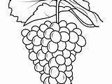 Ape Coloring Grape Pages Getcolorings sketch template