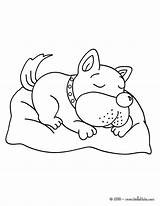 Dog Sleeping Coloring Pages Hellokids Drawing Kids Color Hello Cute Animals Print Puppies Chien Paintingvalley Choose Board Domestiques Animaux sketch template
