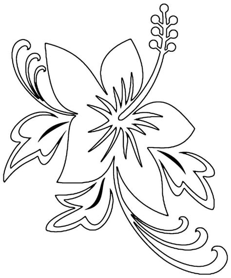 printable hibiscus coloring pages  kids