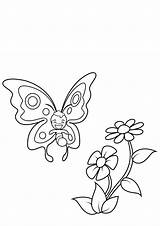 Butterfly Hungry sketch template