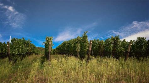 glen manor vineyards sense  place natural landmarks vineyard